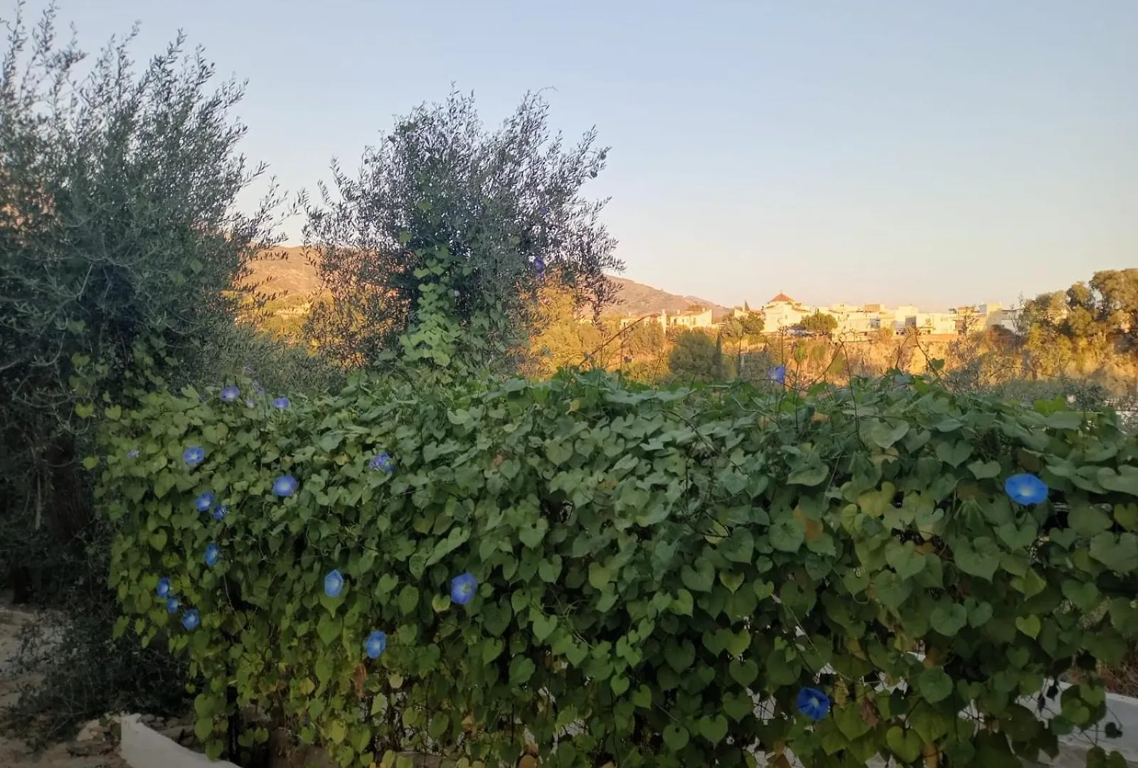Holiday home Cortijo Rural Al-Andalus Con Piscina Villa Orgiva Spain