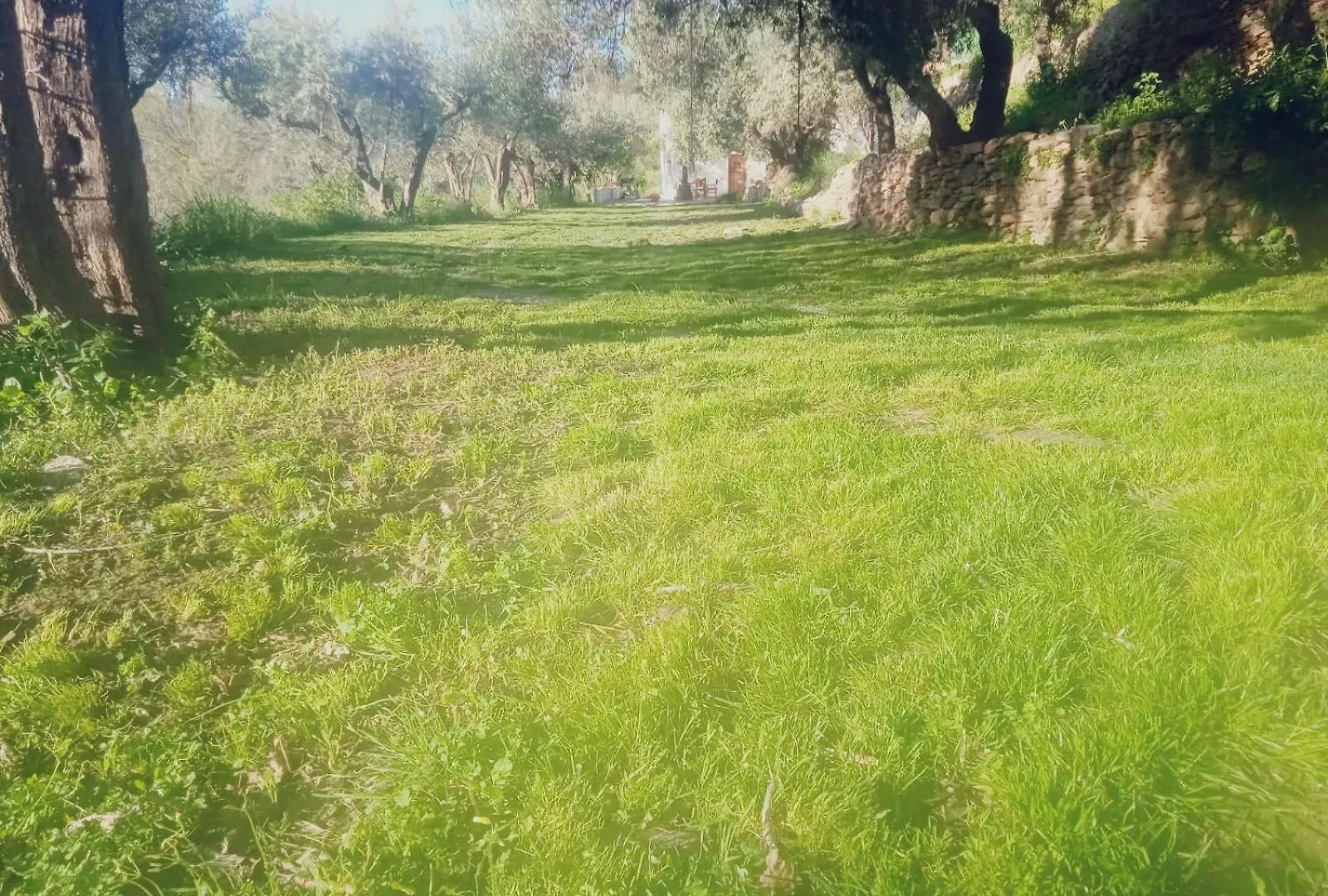 Holiday home Cortijo Rural Al-Andalus Con Piscina Villa Orgiva
