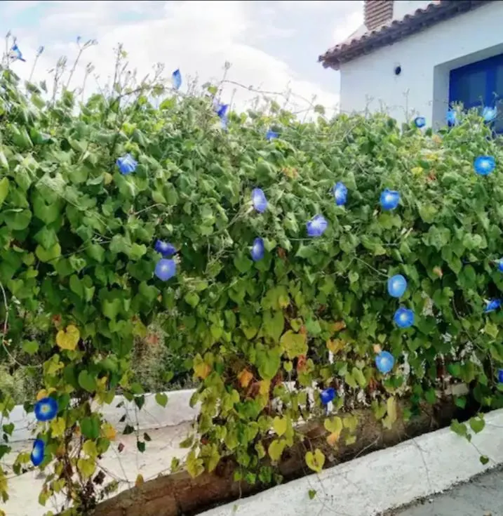 Cortijo Rural Al-Andalus Con Piscina Villa Orgiva